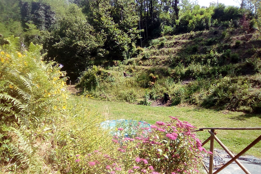 Agricamping Oasi del Belvivere