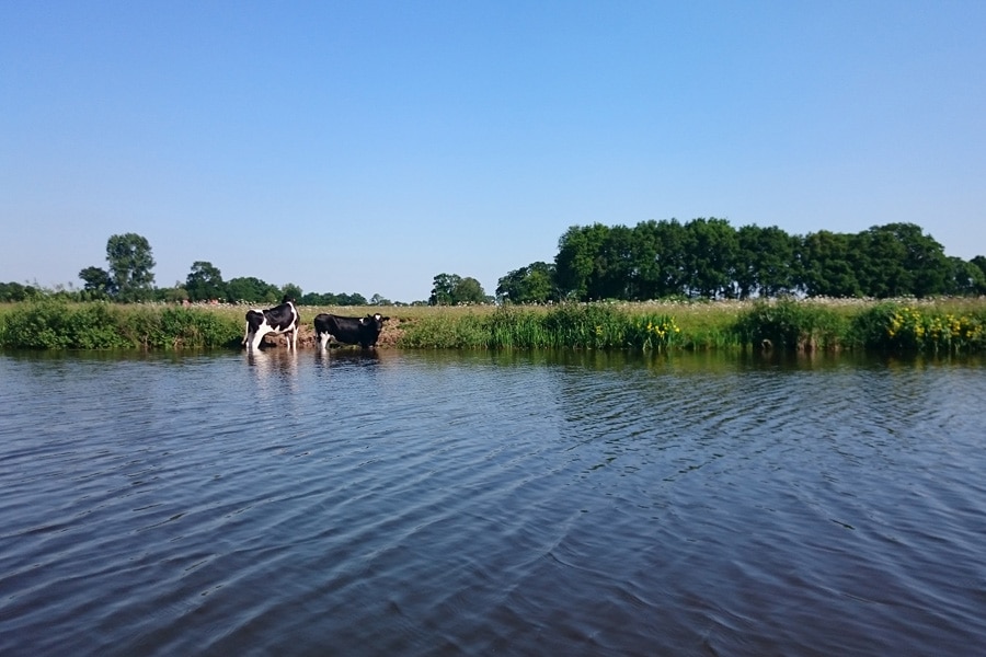 Camping Het Scholtemeijer