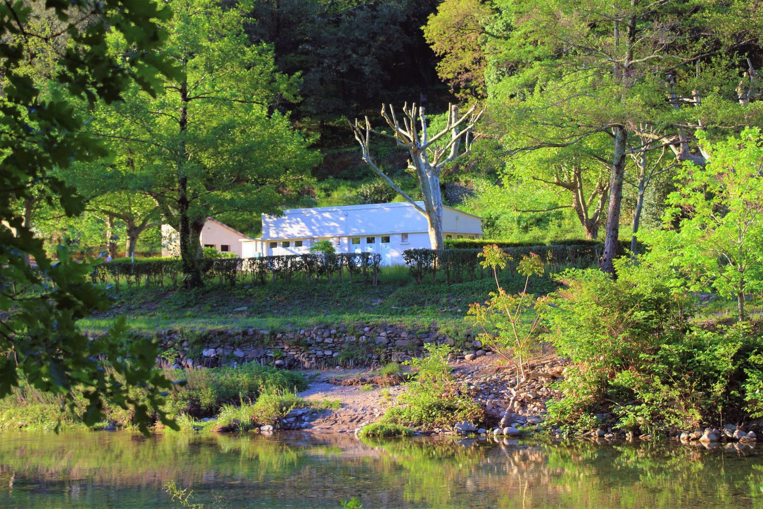 Camping Le Moulin du Luech