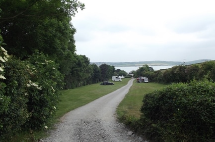 Dennis Cove Campsite