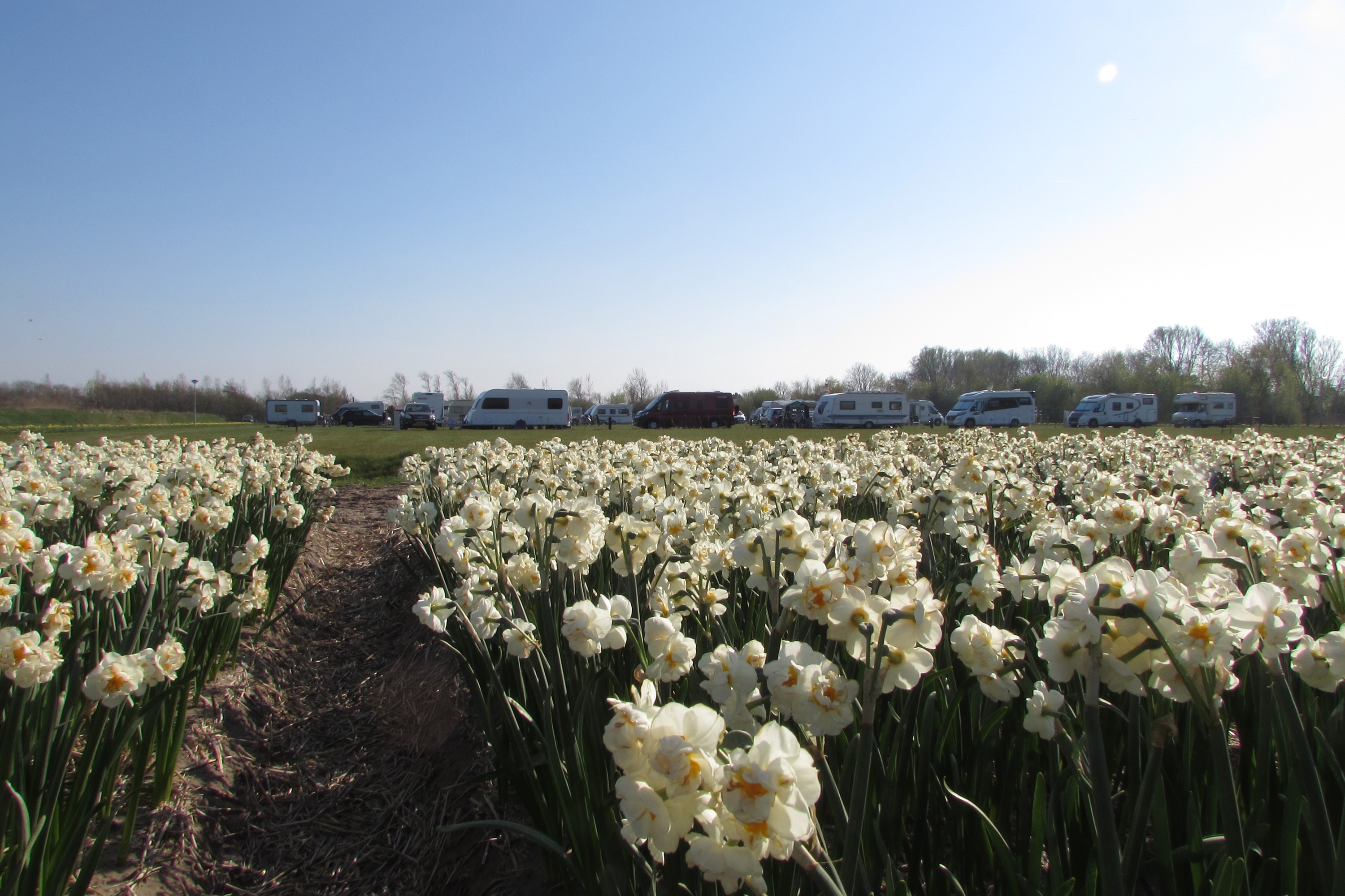 Camping Julianadorp Aan Zee