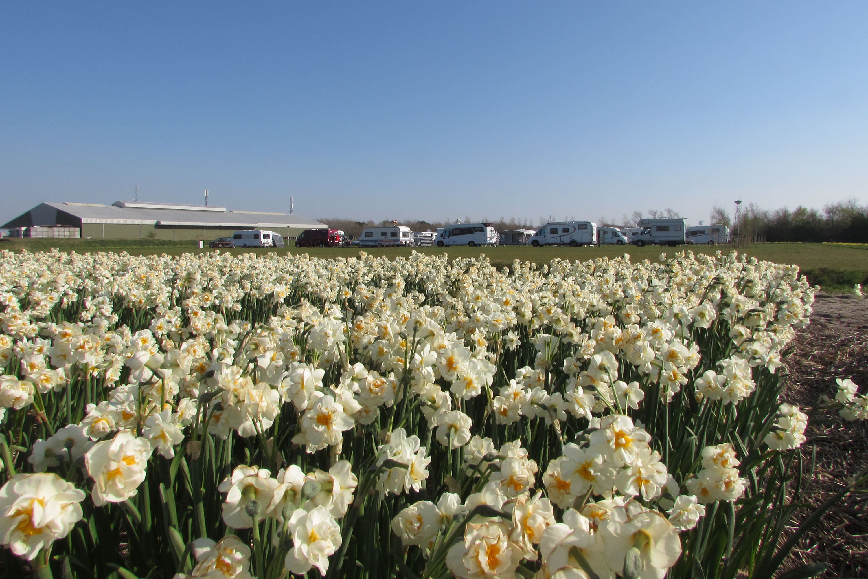 Camping Julianadorp Aan Zee