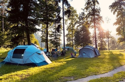 Forest Camping Mozirje