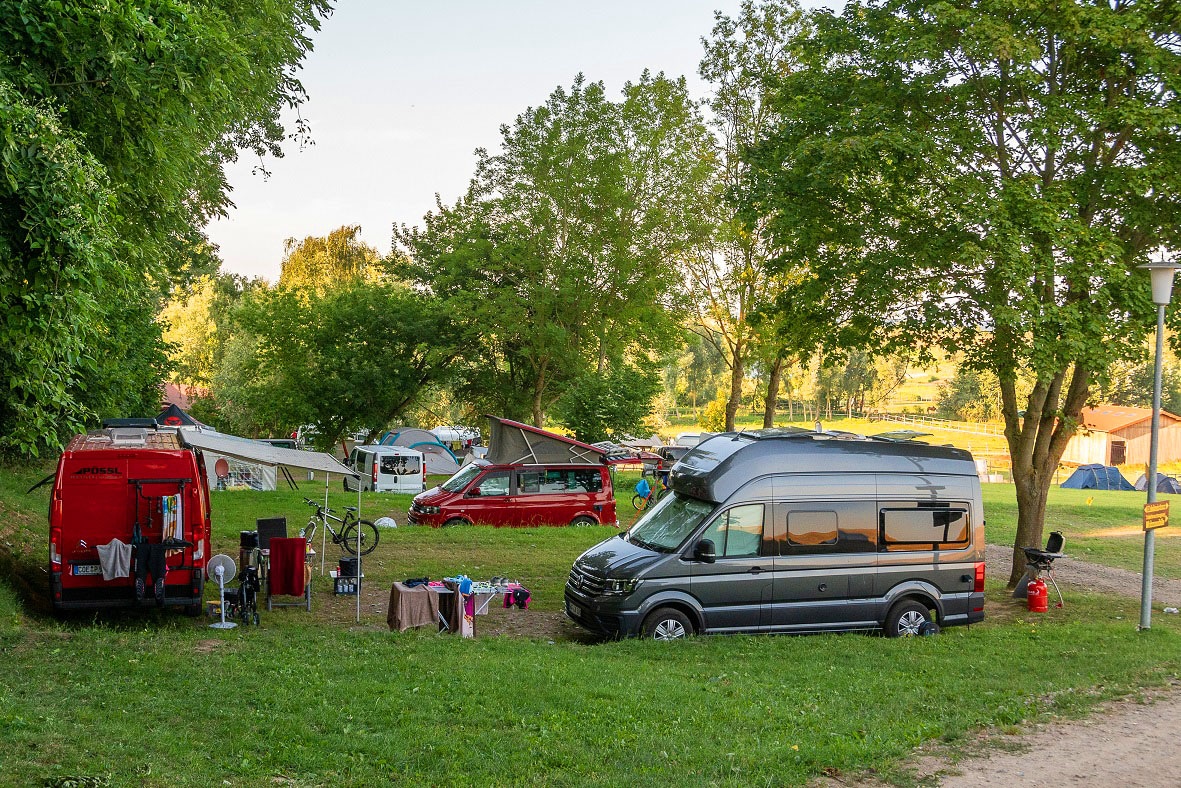 Bernsteinreiter Barth.