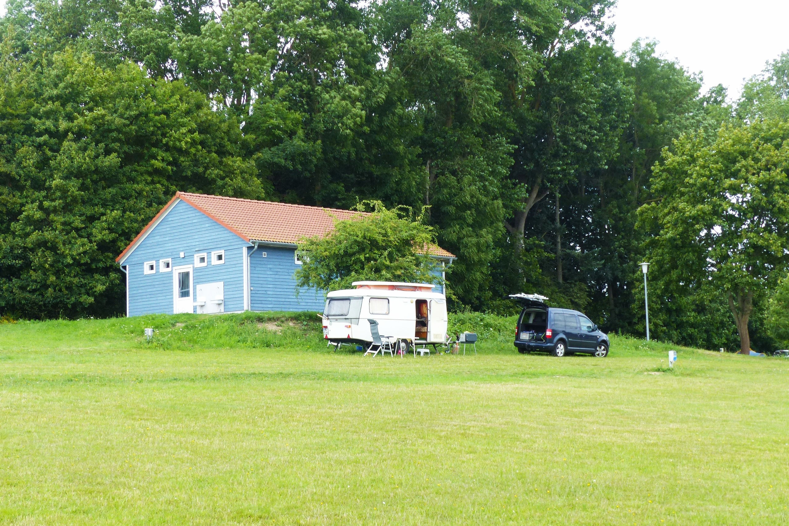 Bernsteinreiter Barth