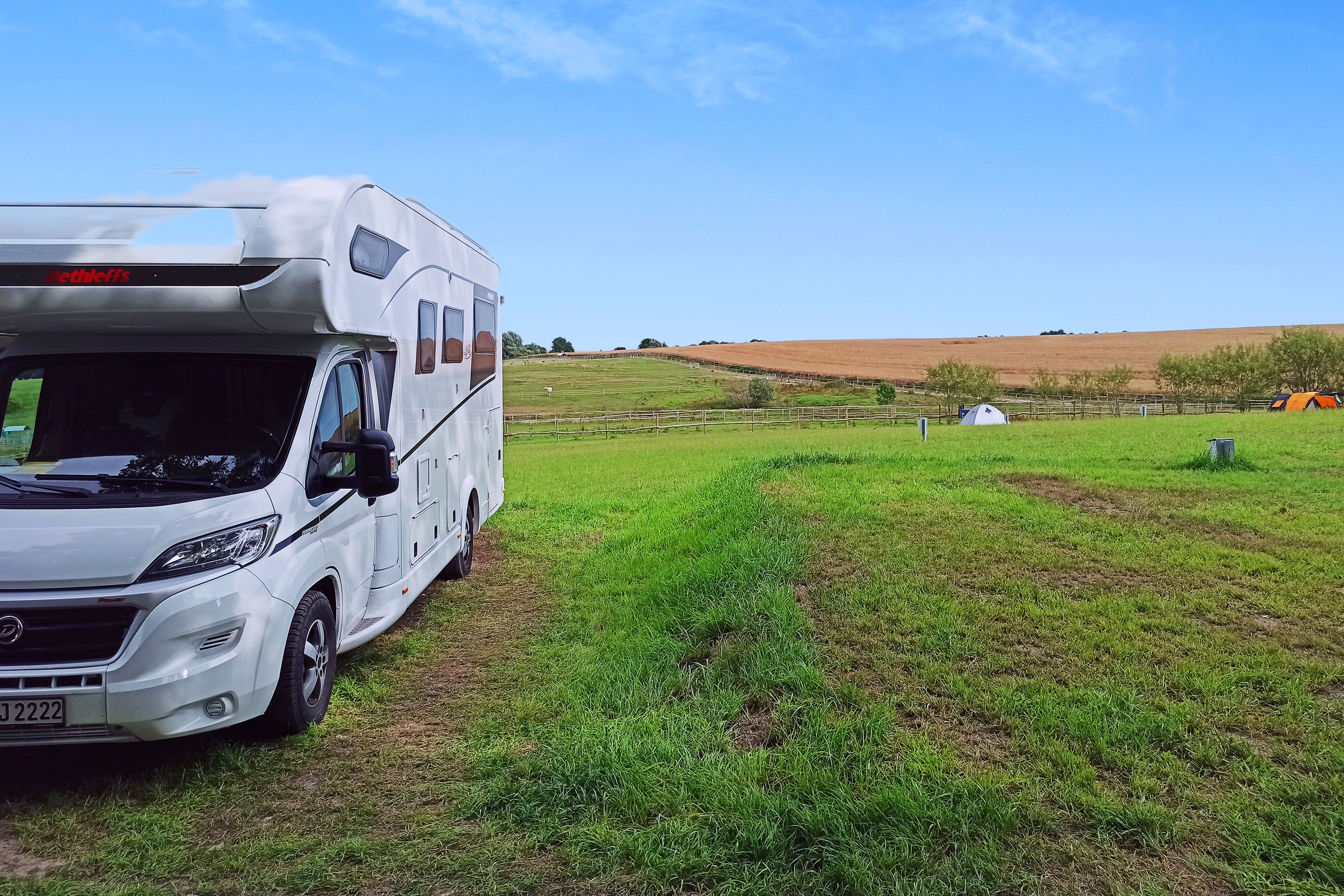 Bernsteinreiter Barth