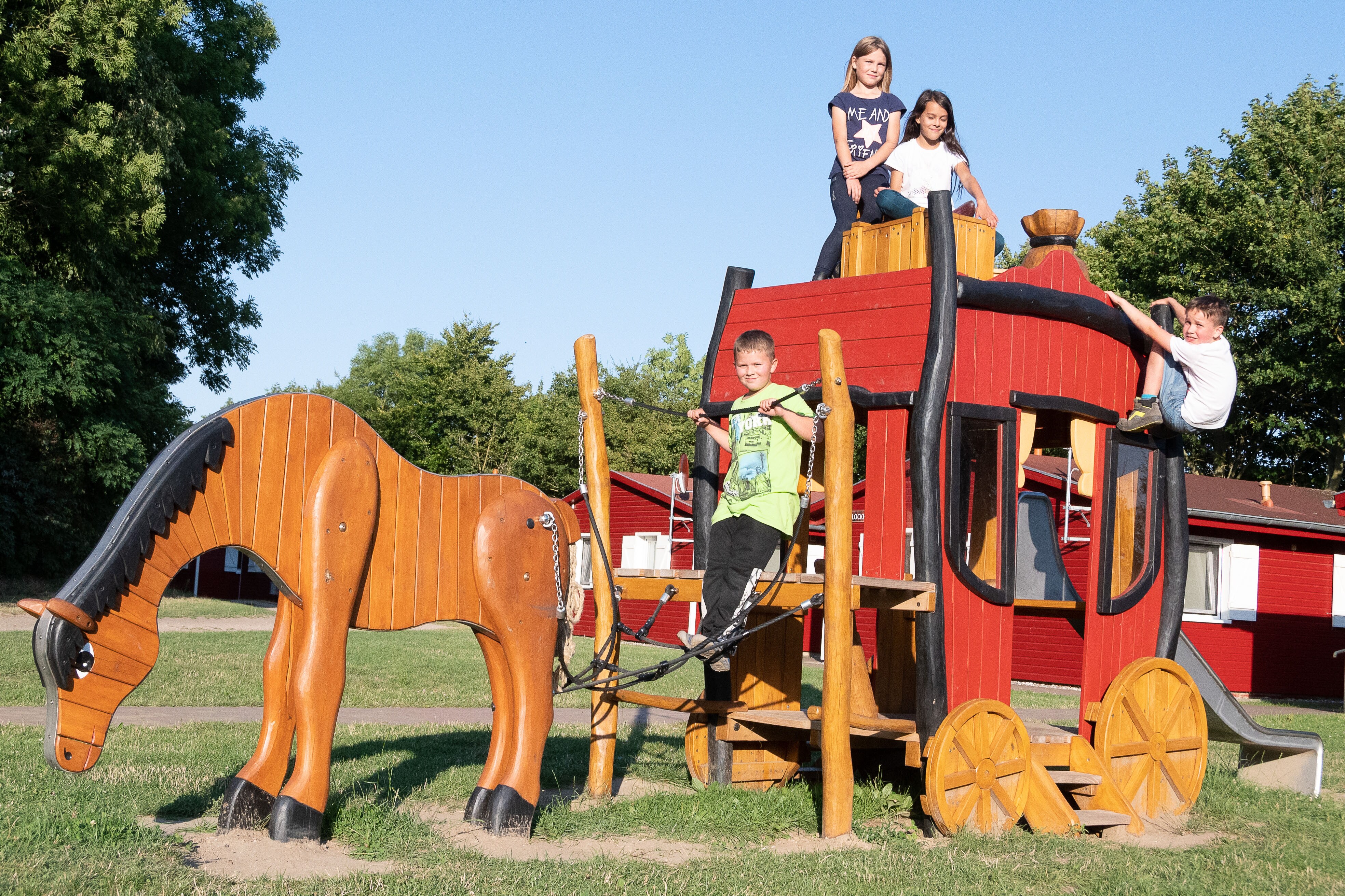 Bernsteinreiter Barth