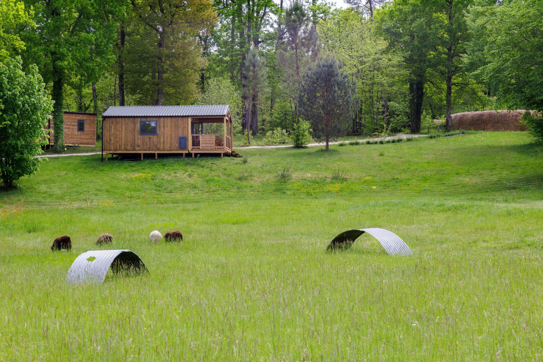 Camping La Clairière