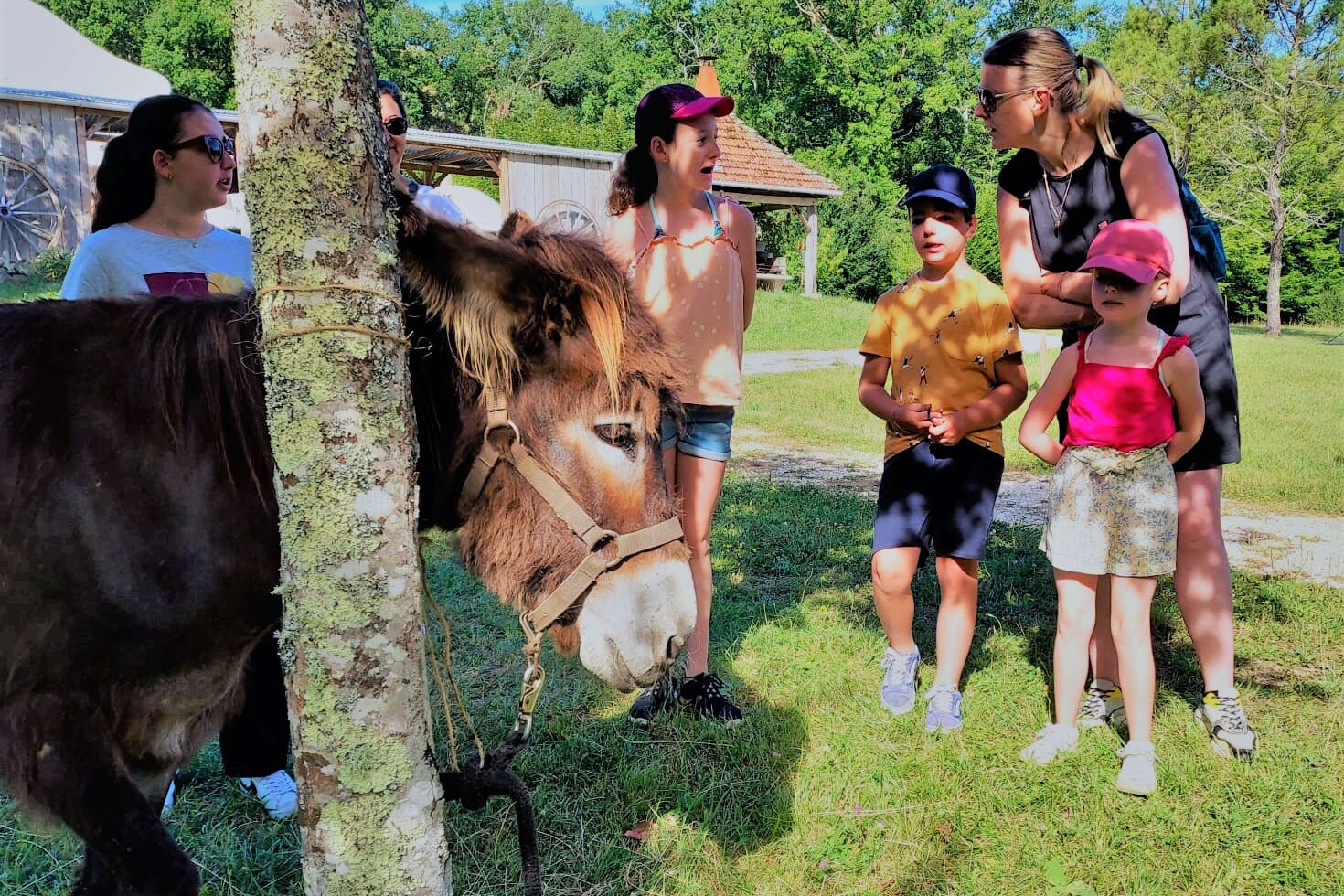 Camping La Clairière