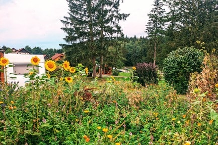 Wohnmobil- und Campingpark Ambergau