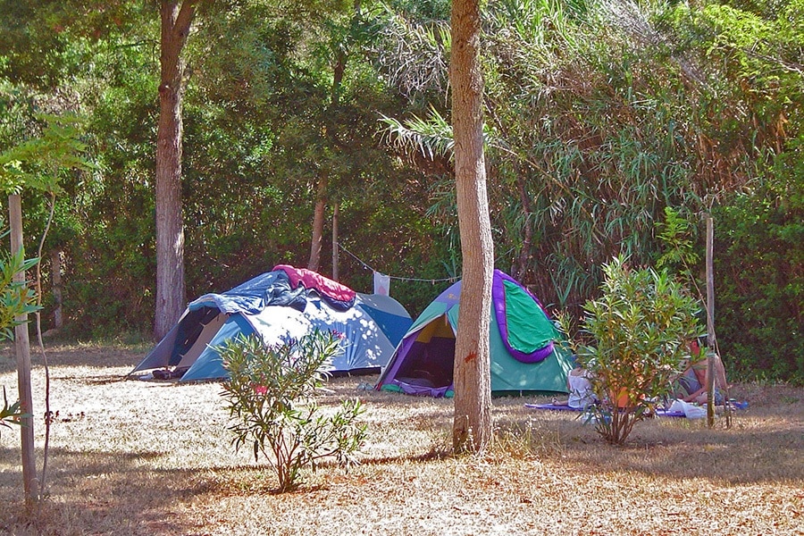 Salema Eco Camp - Regenerative Camping & Glamping