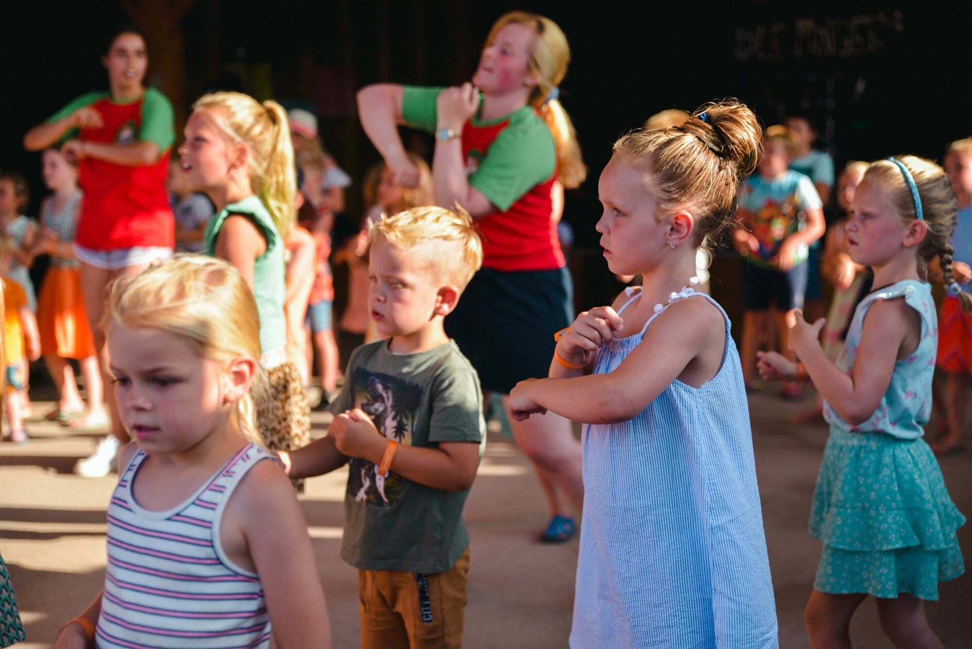 Camping Village de la Guyonnière