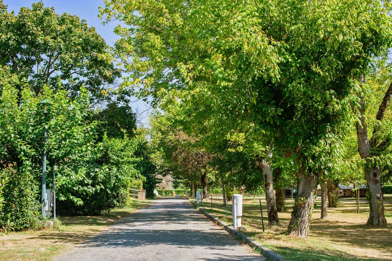 Camping de l'Argenté Onlycamp