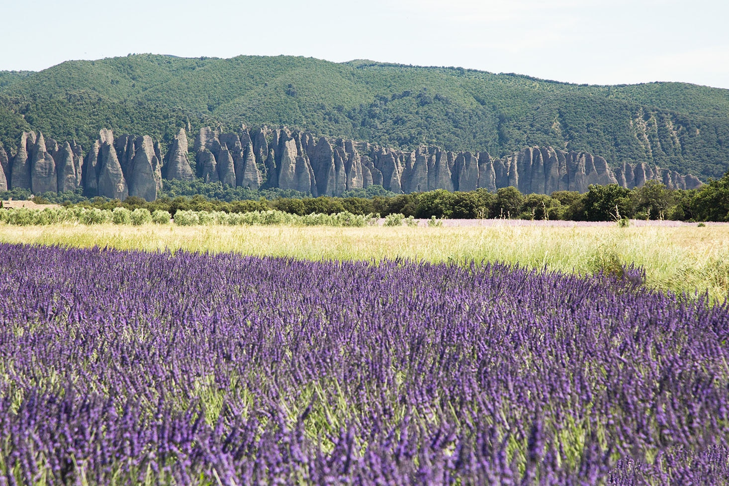 Camping La Pinède des Mées