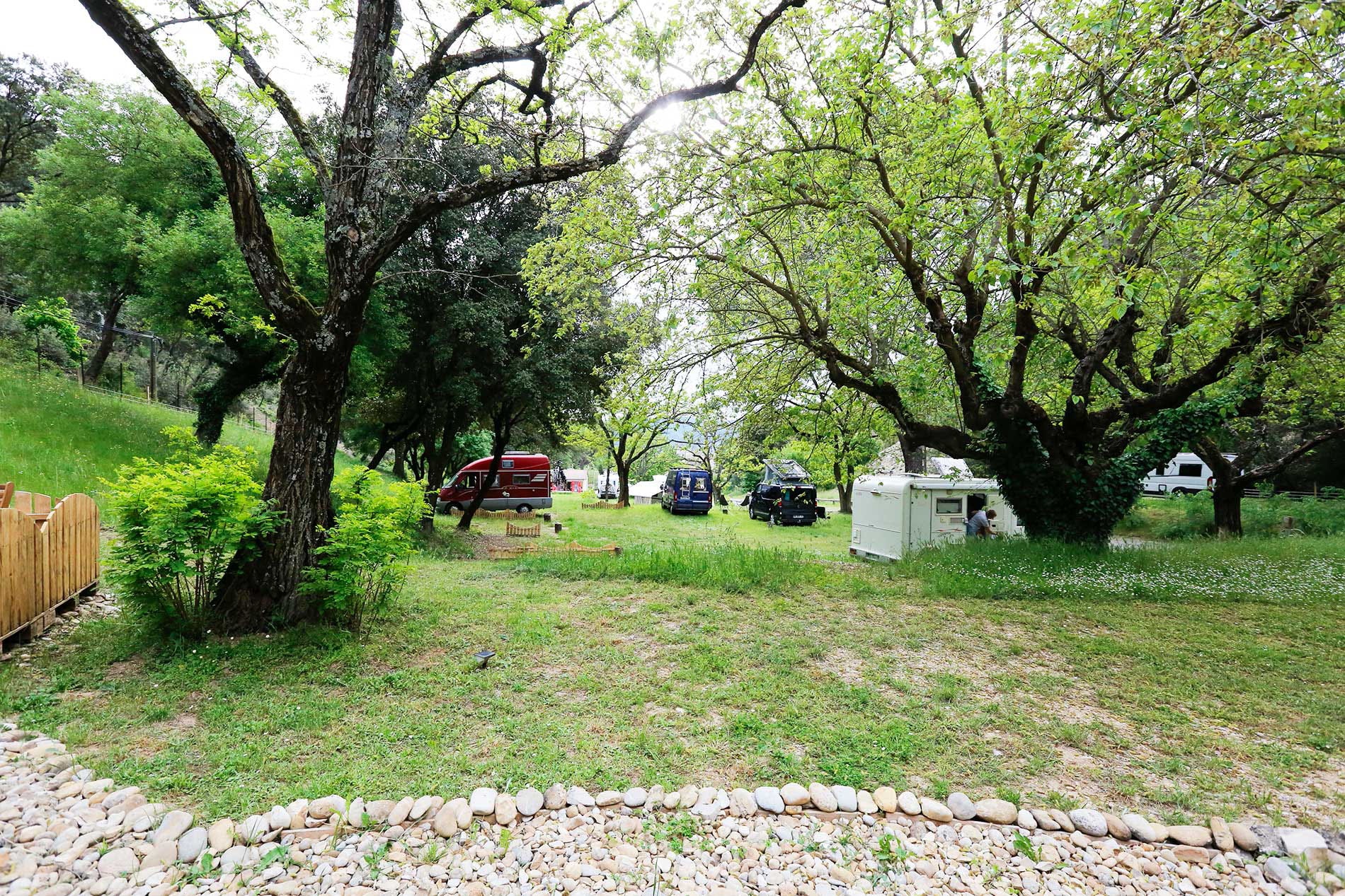 Camping La Pinède des Mées