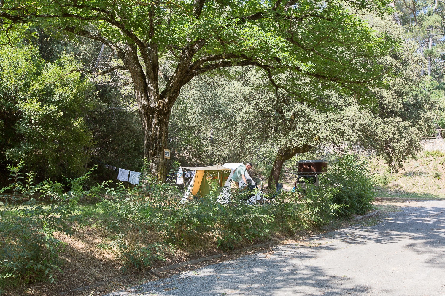 Camping La Pinède des Mées