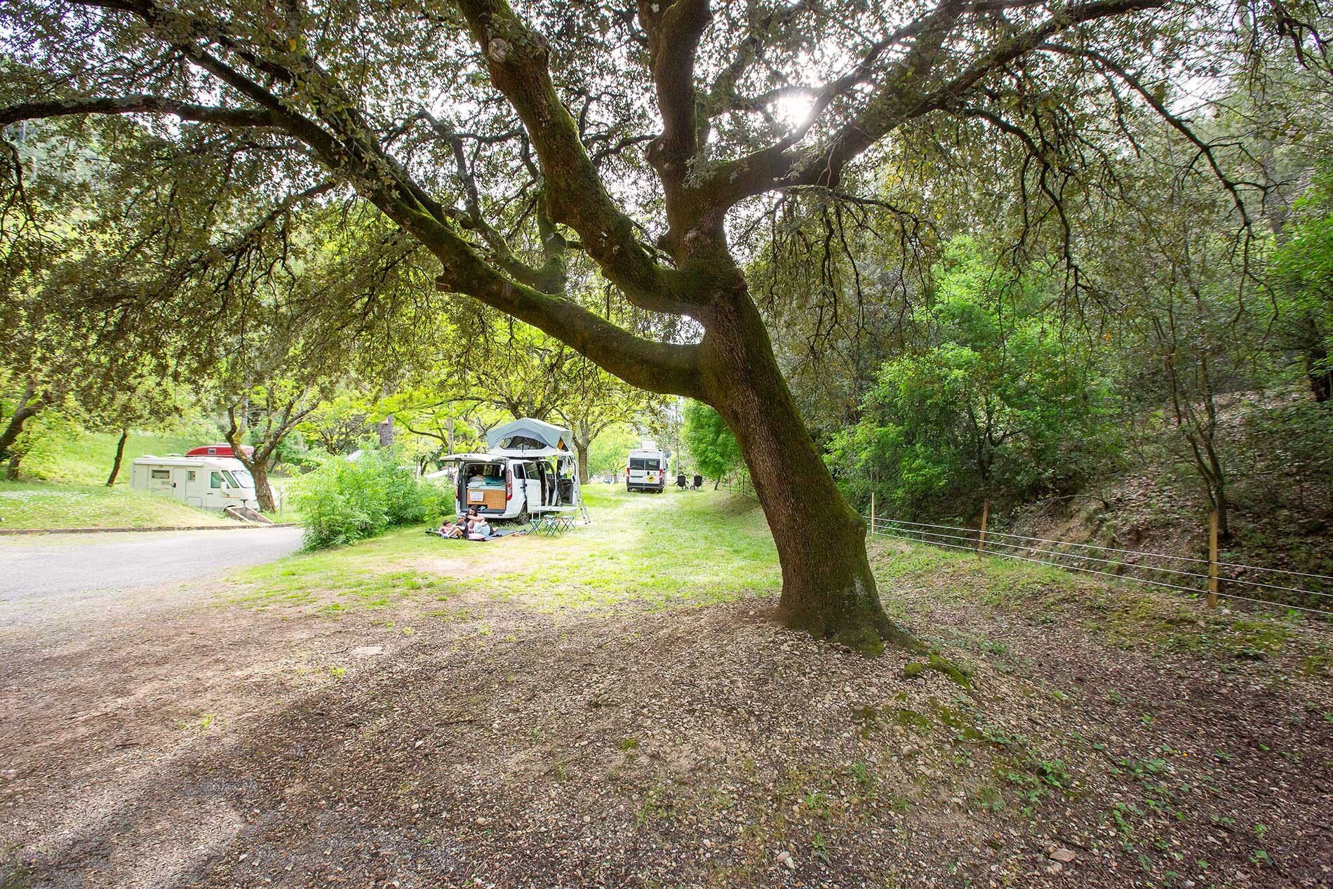 Camping La Pinède des Mées