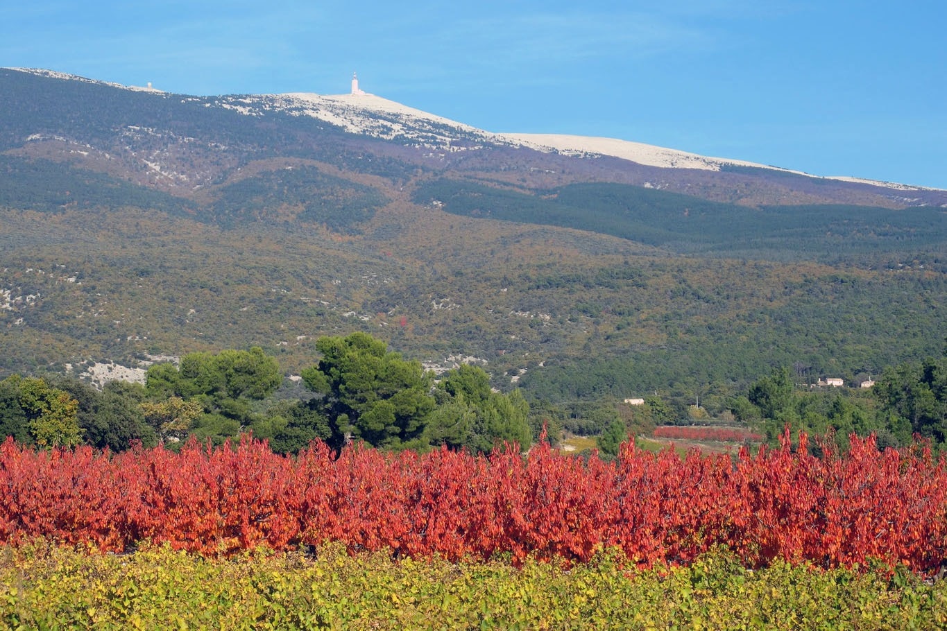Camping Ushuaïa Villages  Provence Ventoux