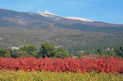 Camping Ushuaïa Villages  Provence Ventoux