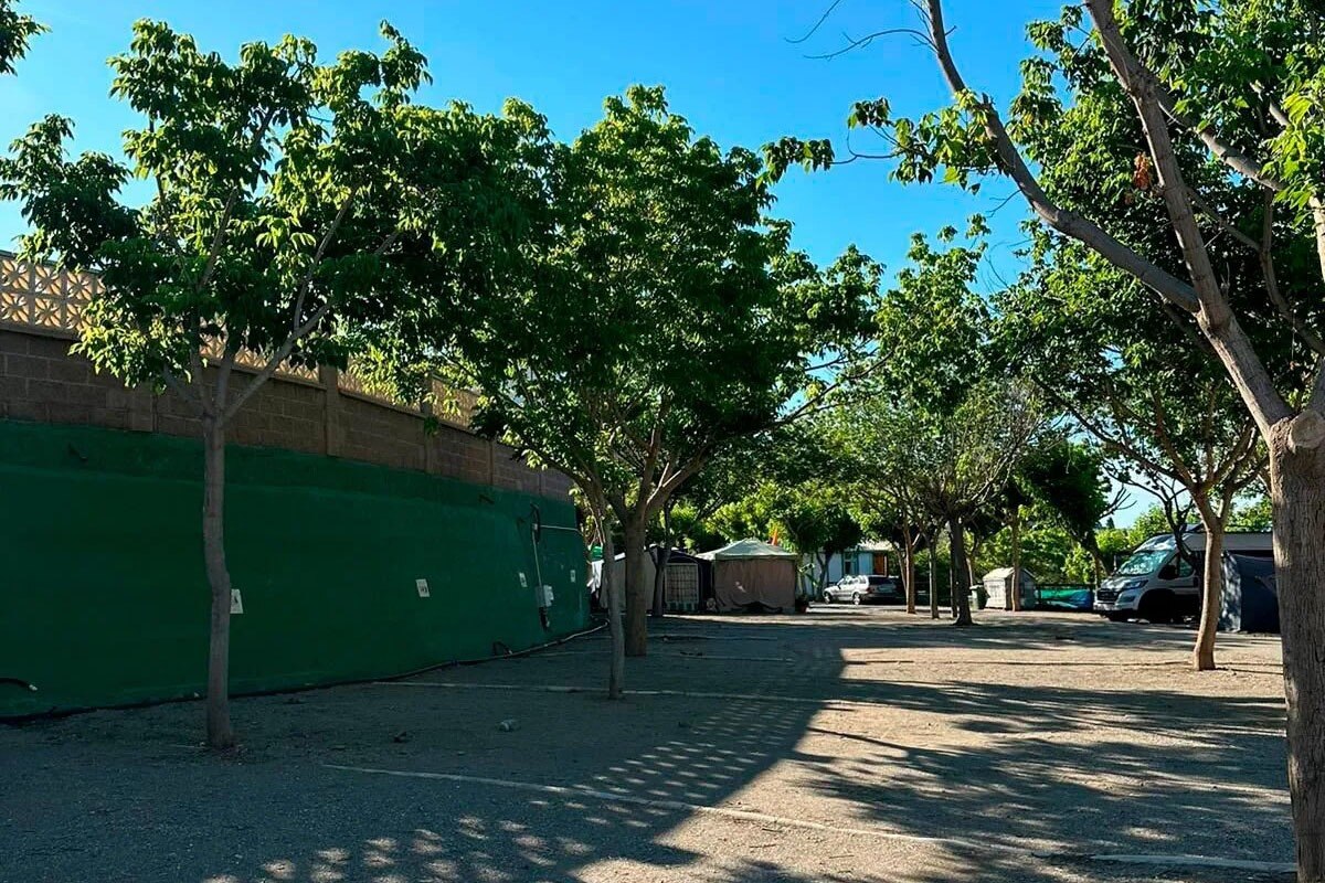 Camping El Pino