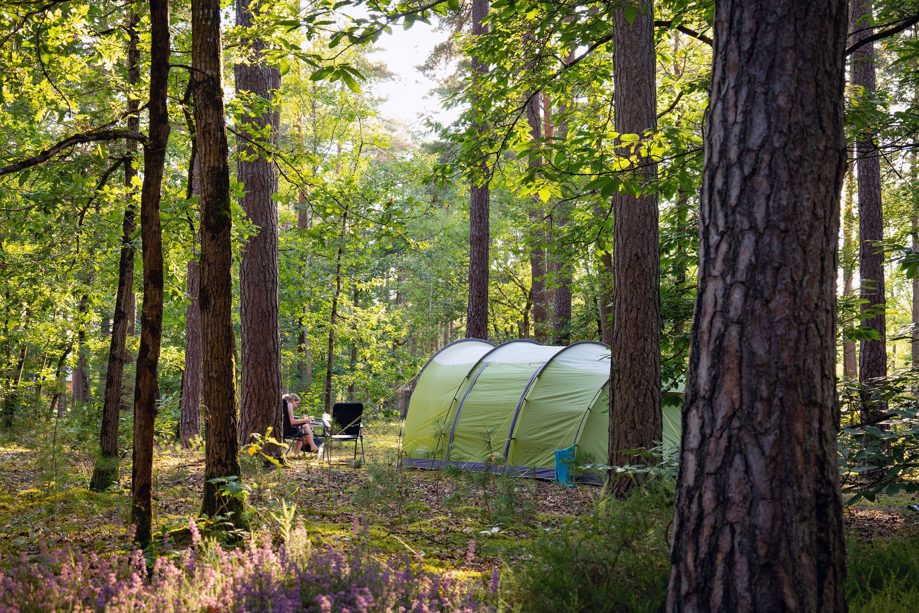 Camping Les Pins Onlycamp