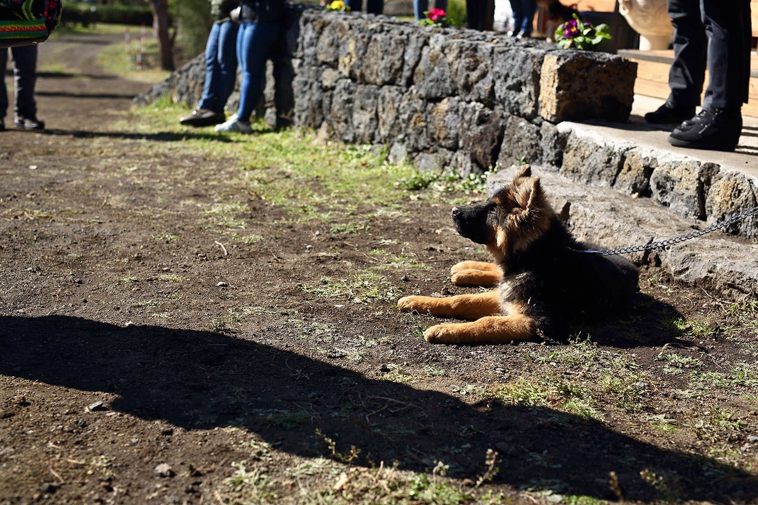 Mons Gibel Camping Park