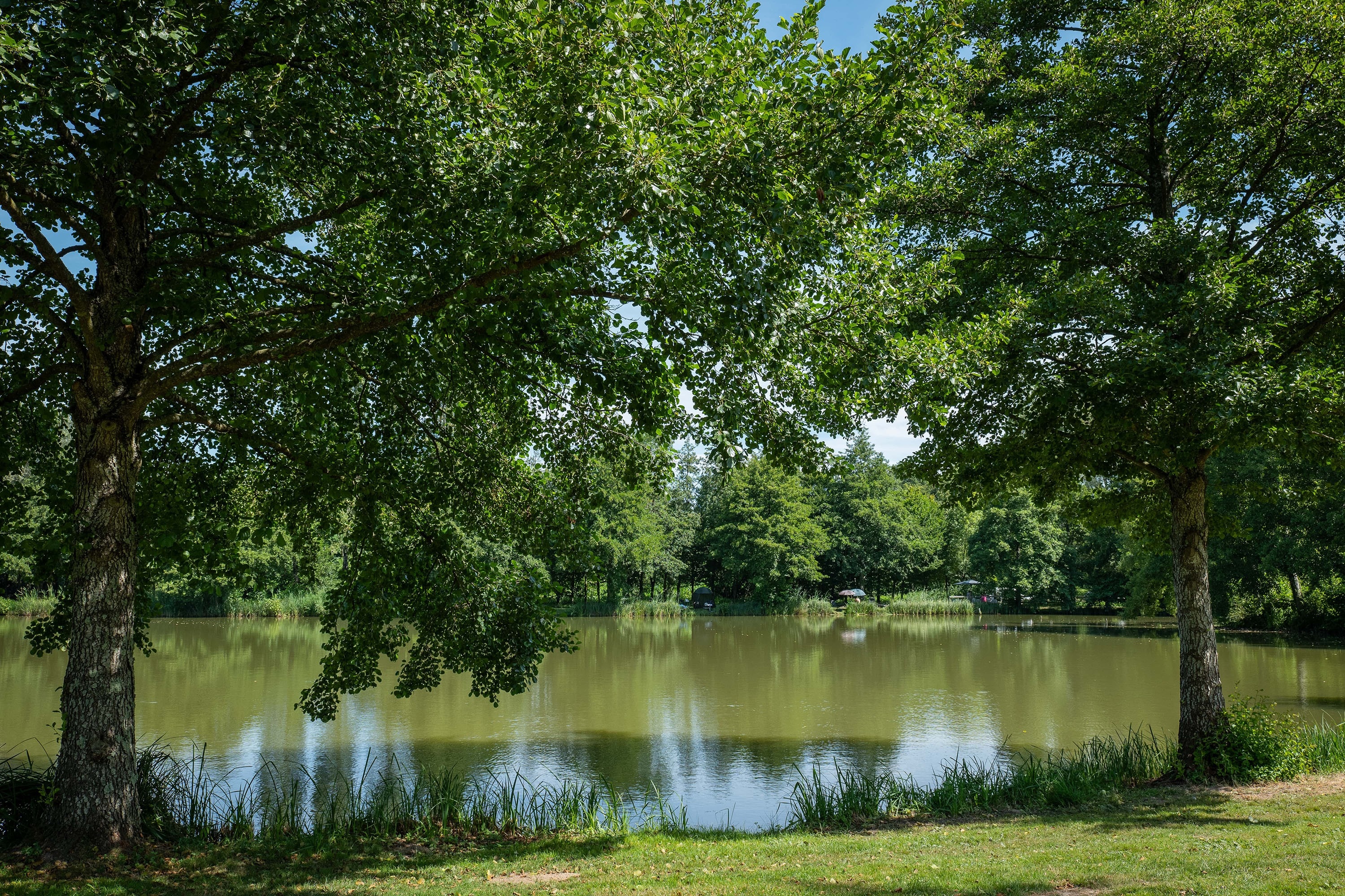 Camping La Potinière Onlycamp