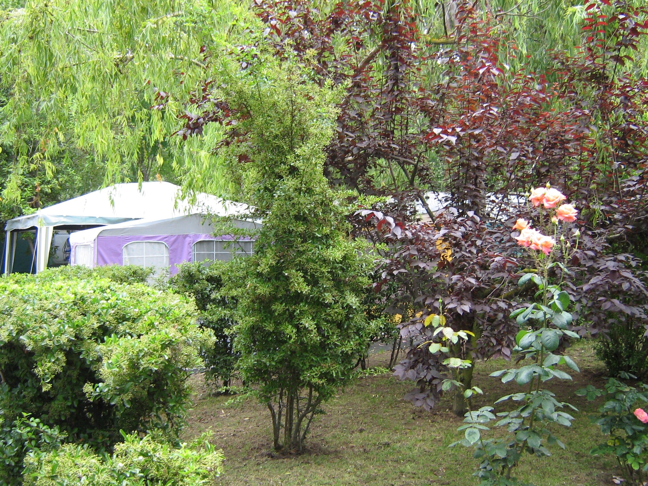 Camping Molino a Fuoco