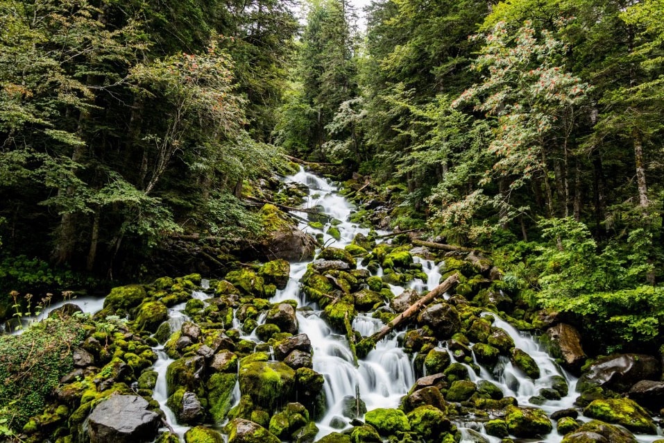 Camping Bedurá Park