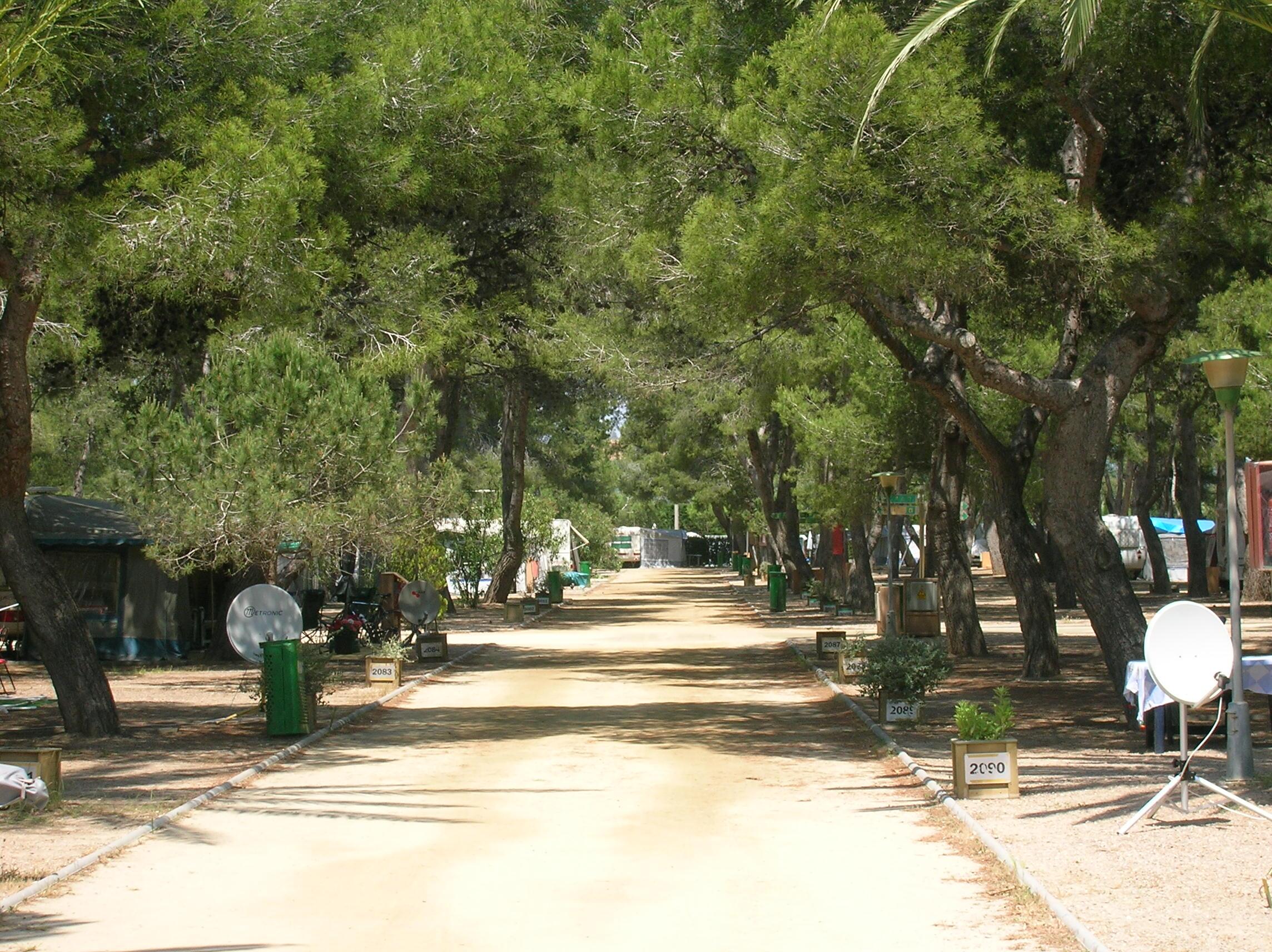 Tamarit Beach Resort