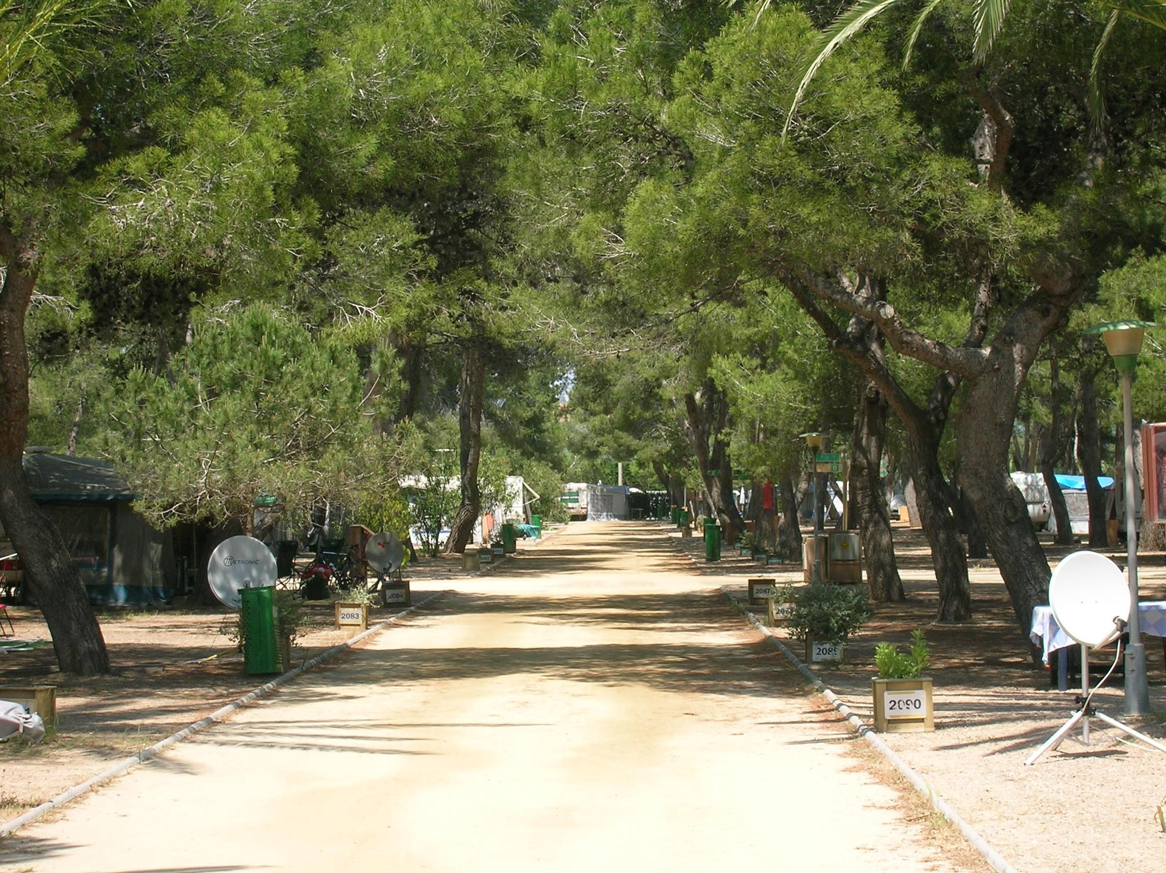 Tamarit Beach Resort