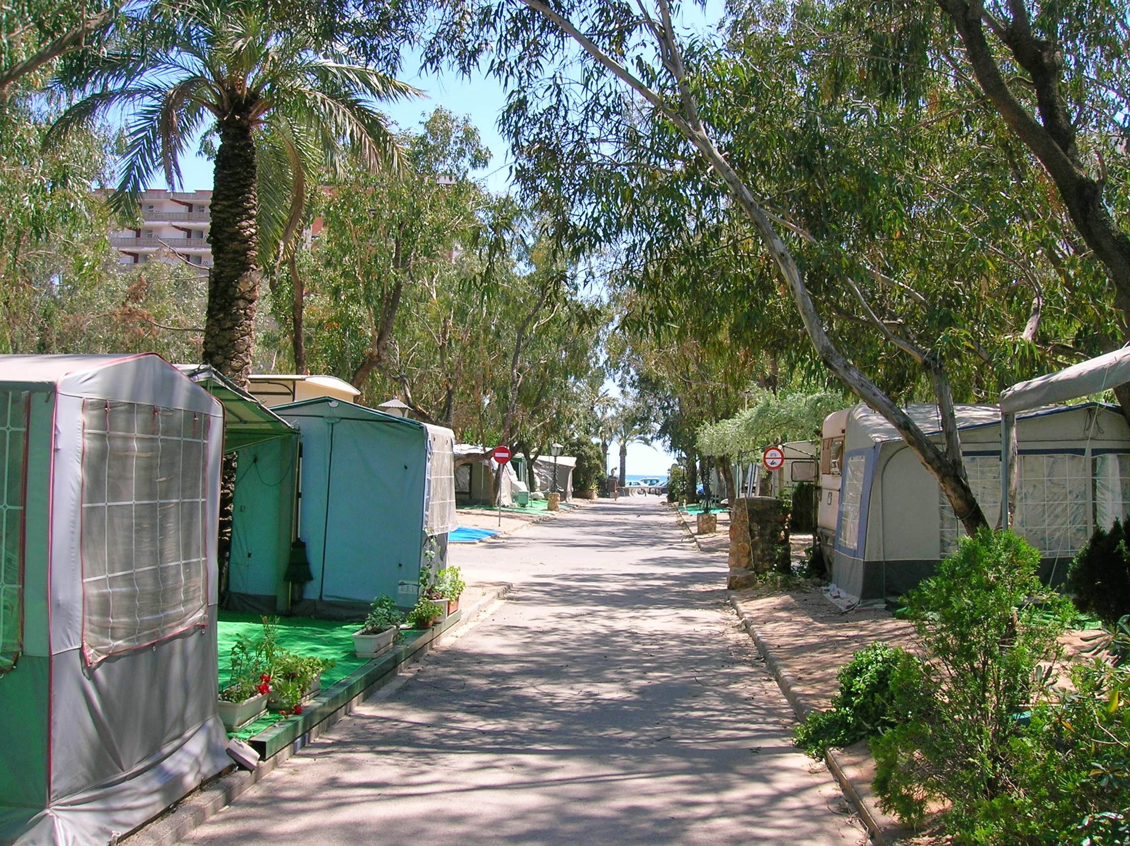 HolaCamp Sant Salvador