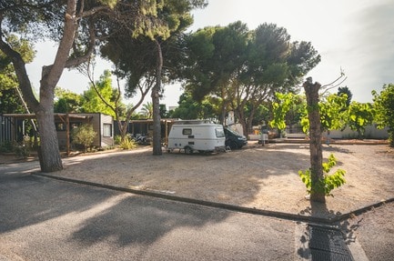 HolaCamp Sant Salvador