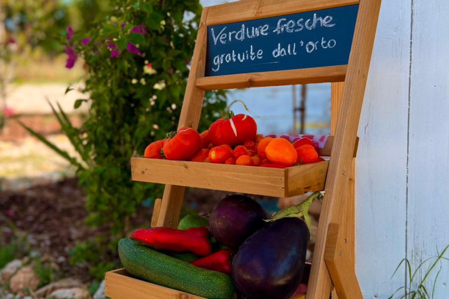 Glamping La Yurta nel Verde