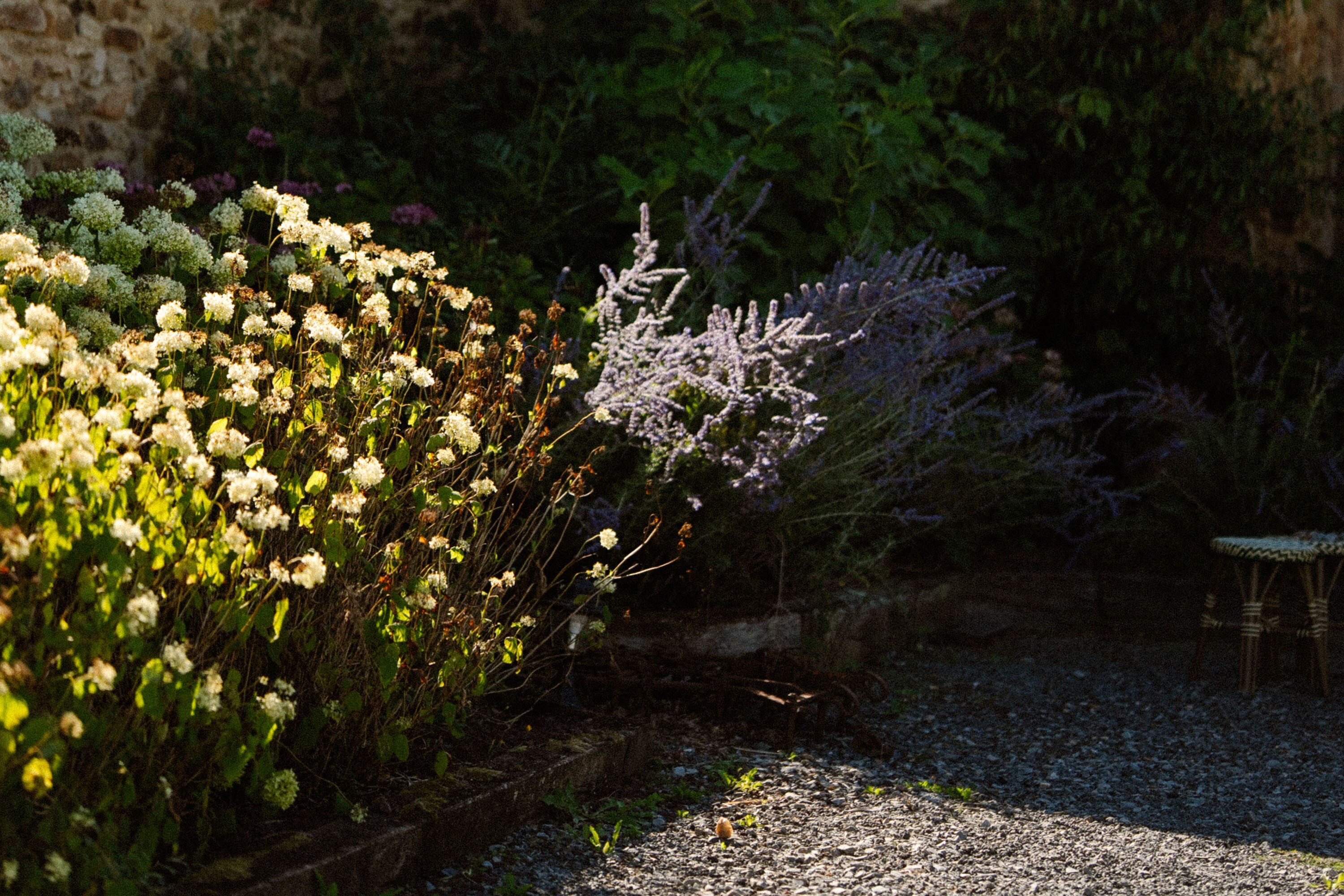 Camping Domaine Bonneblond