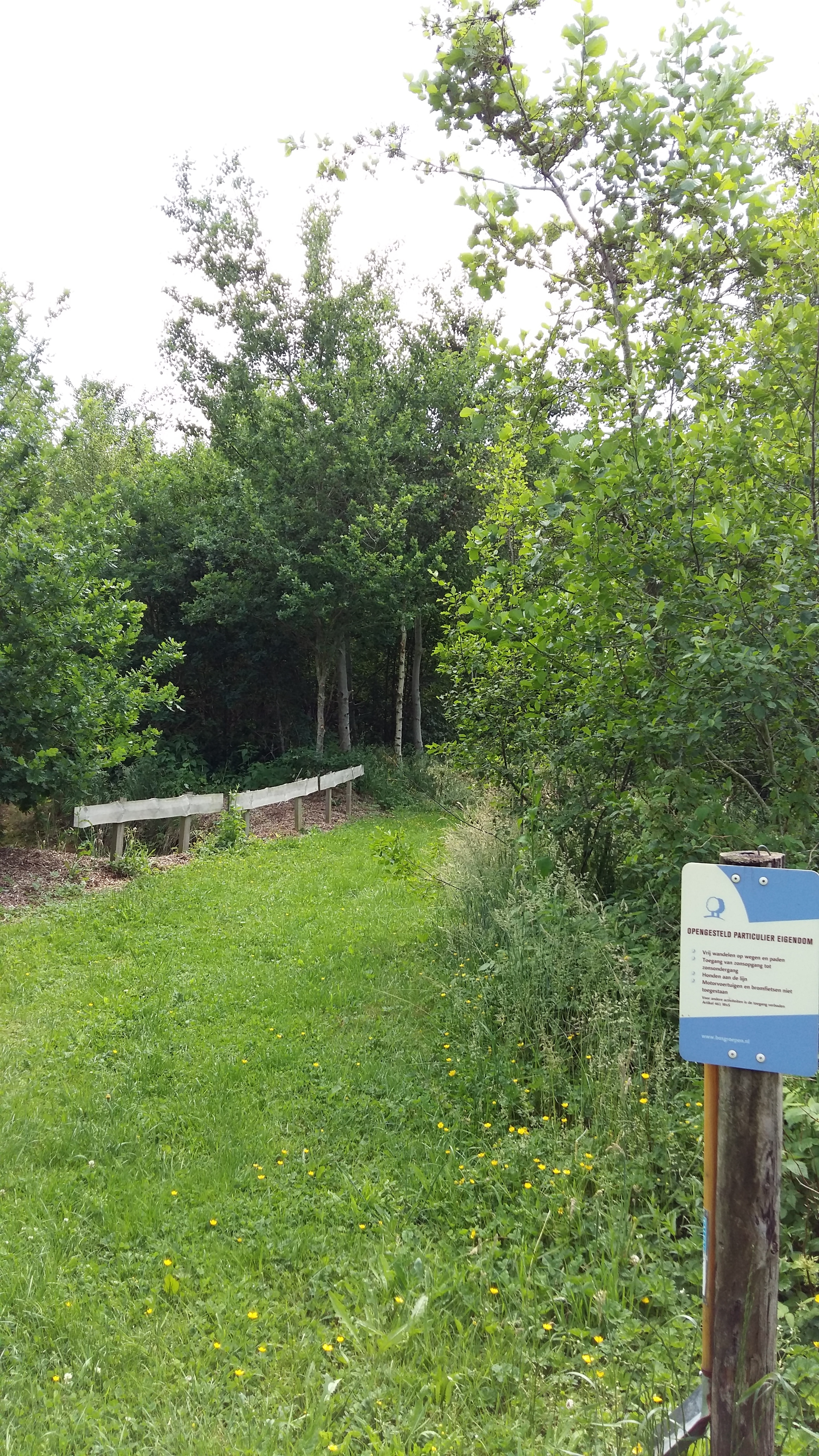 Camping Landgoed Geuzenbos