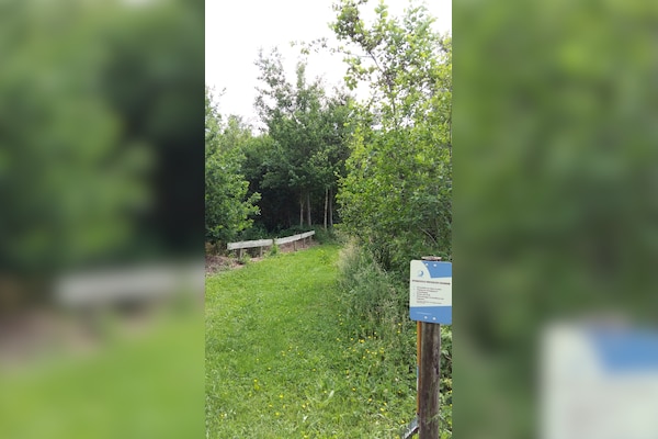 Camping Landgoed Geuzenbos