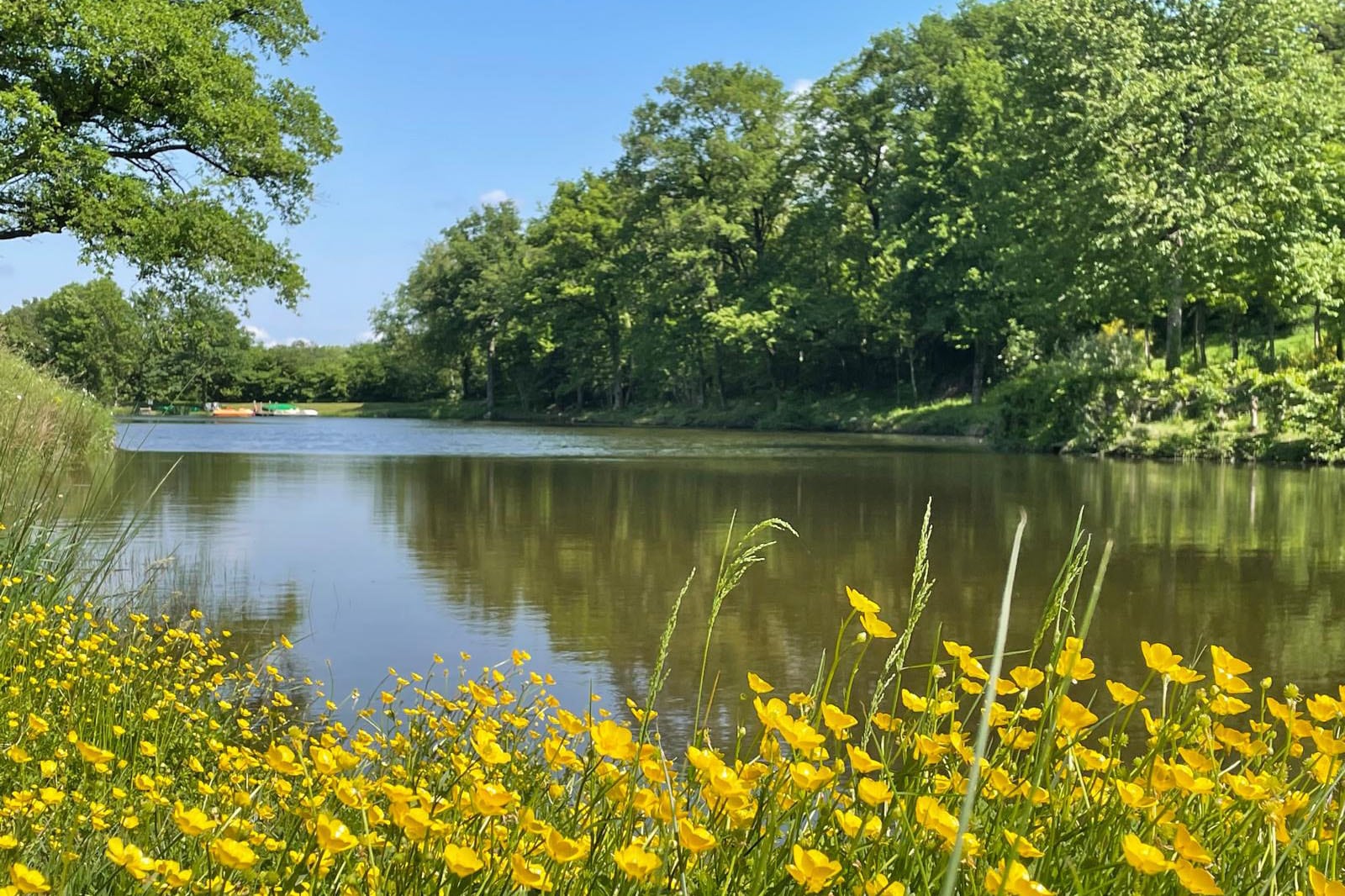 Camping Les Logis de l'Oumois