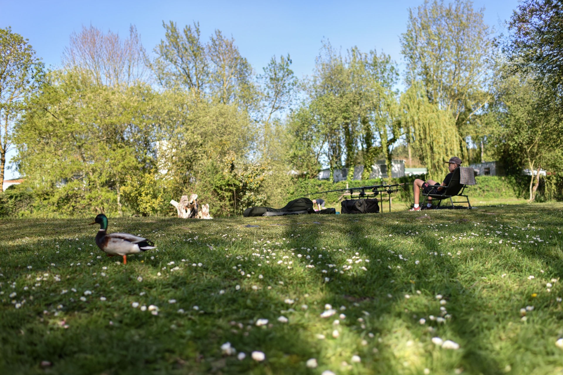 Camping Paradis Domaine de Bellevue