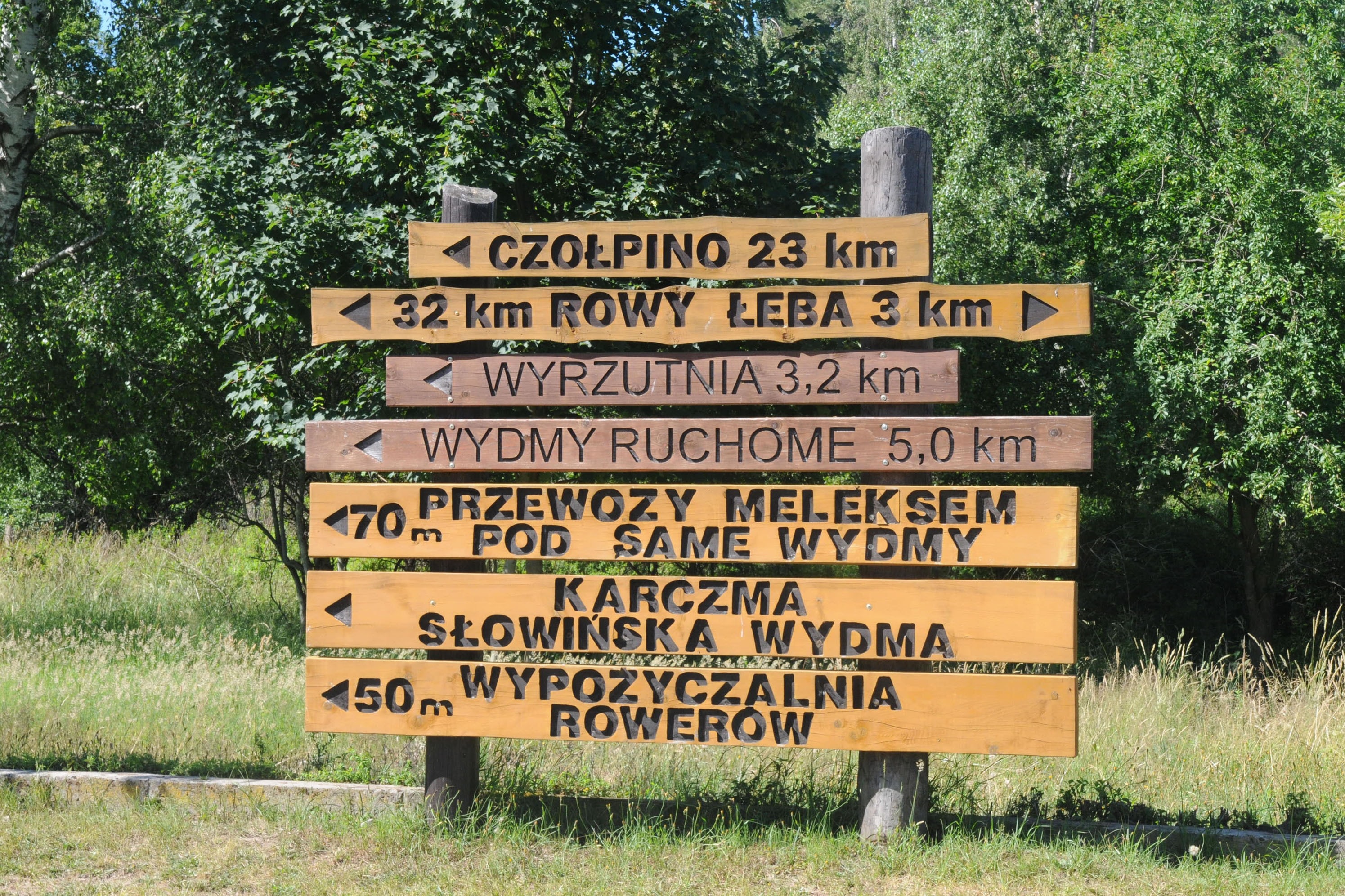 Camping Lesny Nr. 51