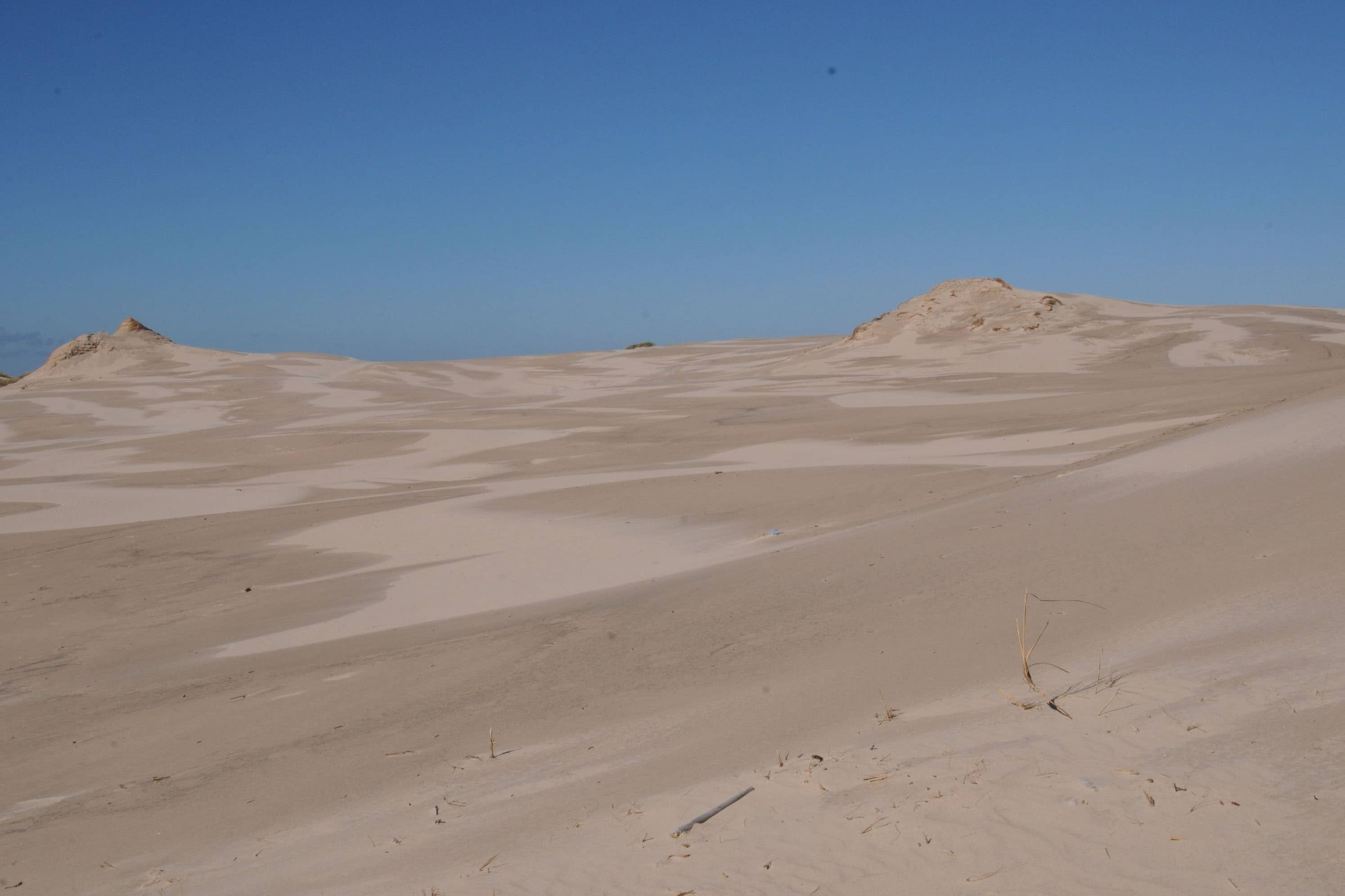 Camping Lesny Nr. 51