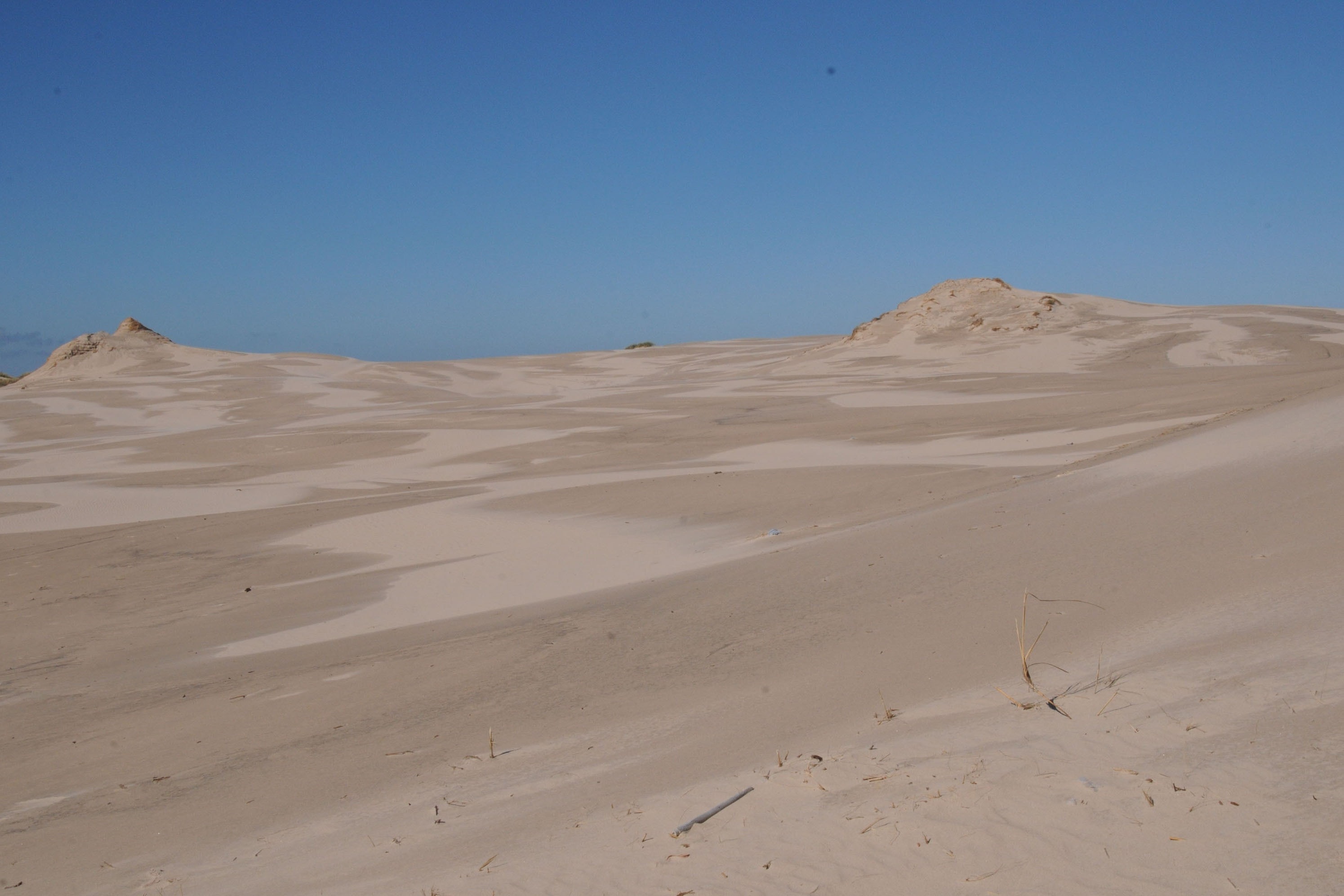 Camping Lesny Nr. 51