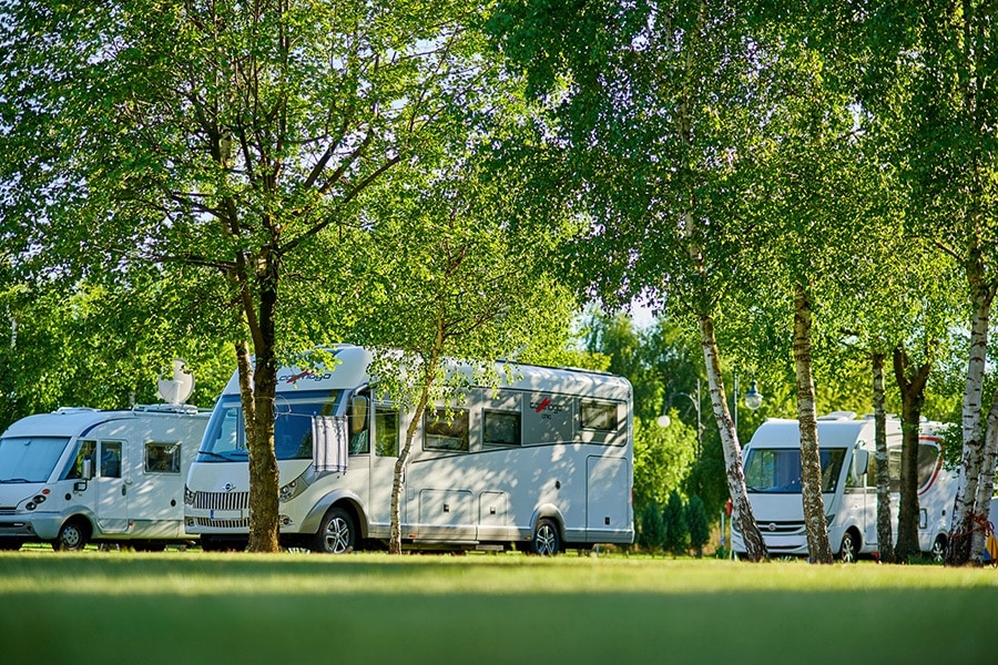 Camping Lesny Nr. 51