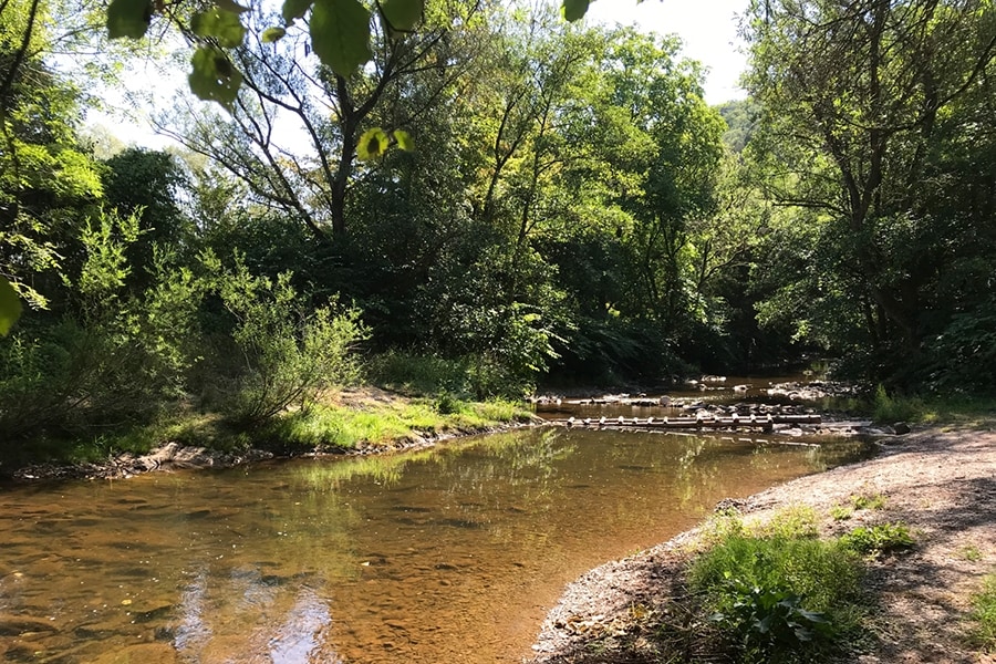Moselcampingplatz Alf