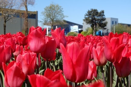 Ardoer Camping Tempelhof