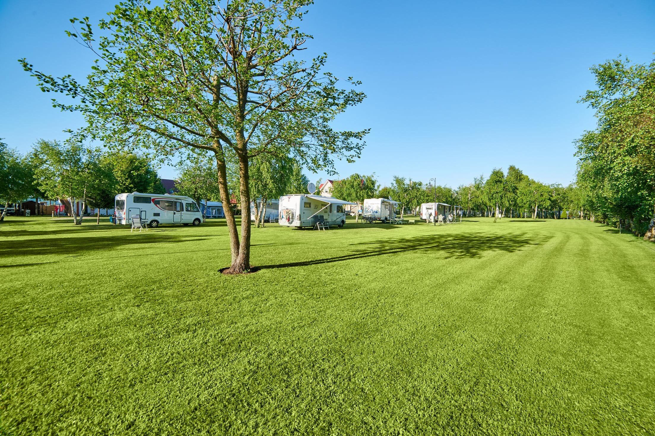 Camping Lesny Nr. 51