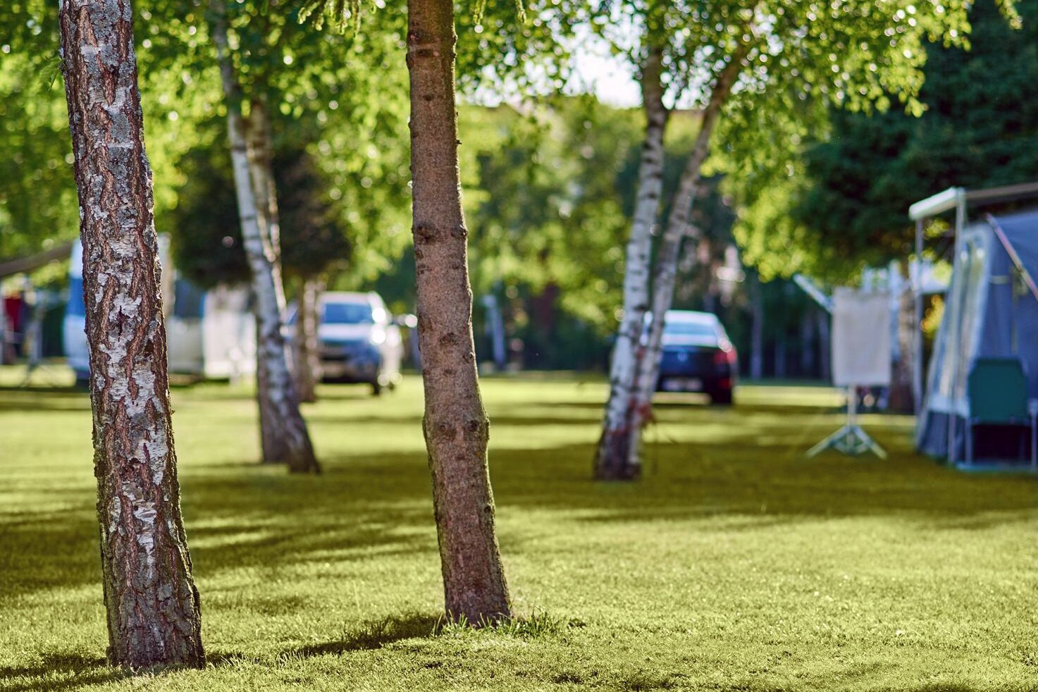 Camping Lesny Nr. 51