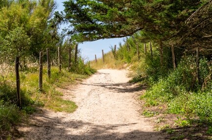 Camping Homair La Côte Sauvage