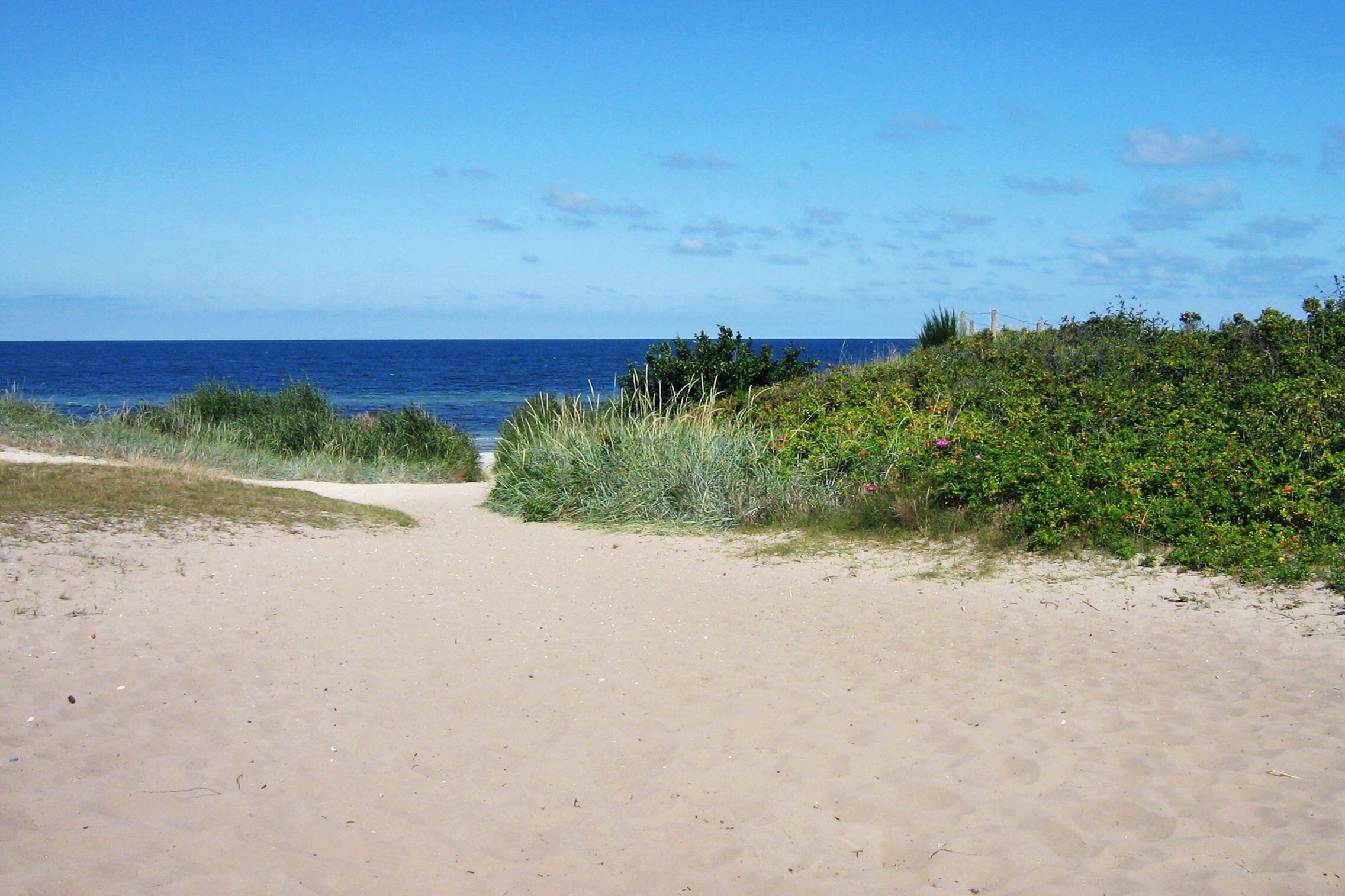 Dalgård Camping