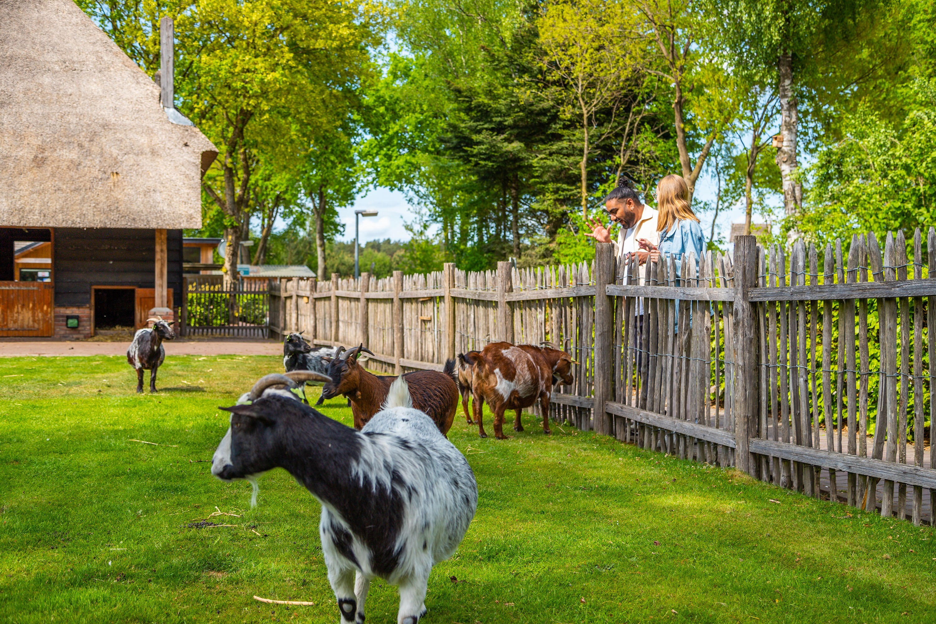 EuroParcs De Wije Werelt